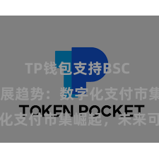 TP钱包支持BSC TP钱包发展趋势：数字化支付市集崛起，未来可期